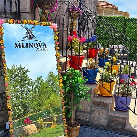 Mlinova Kuecuekkoey Ayvalı