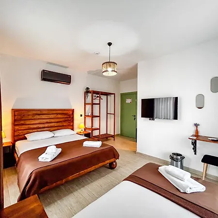 Mlinova Kuecuekkoey Hotel Ayvalı